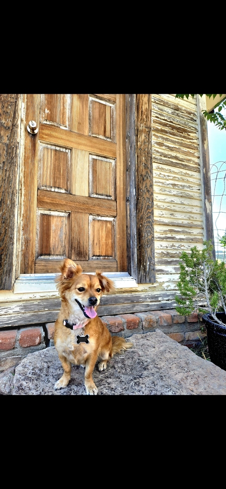 Coco