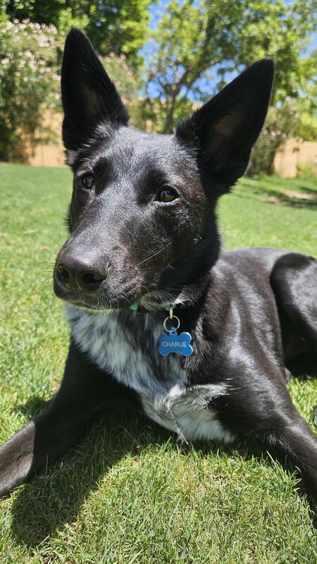 Charlie