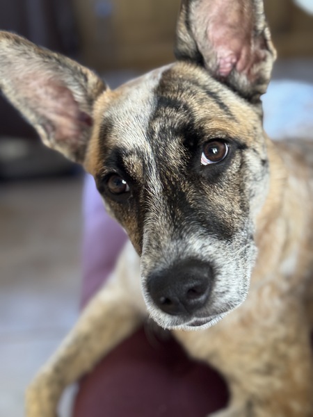 Lucy