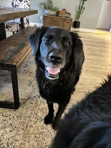 Winnie
