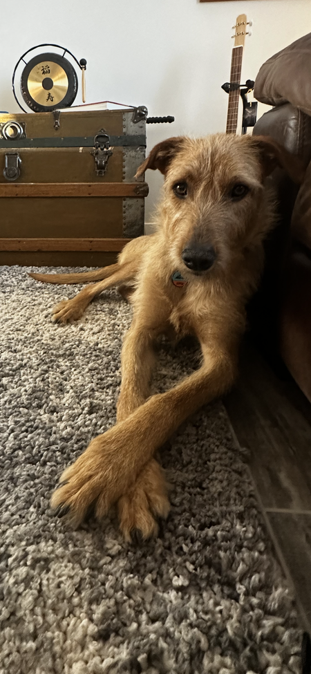 Copper