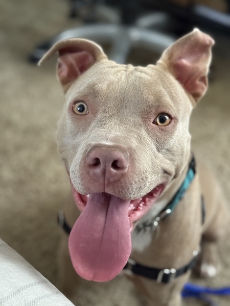 Dex