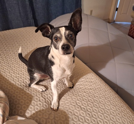 Jack