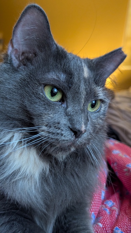 Cinder