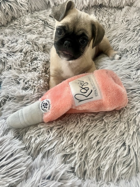 Morty