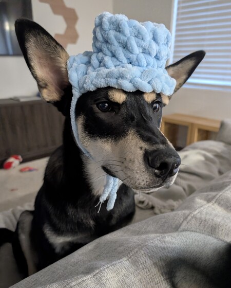 Loki