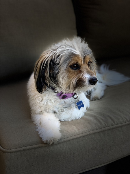 Winston