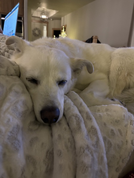 Odin