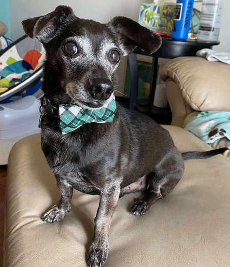 Sinatra