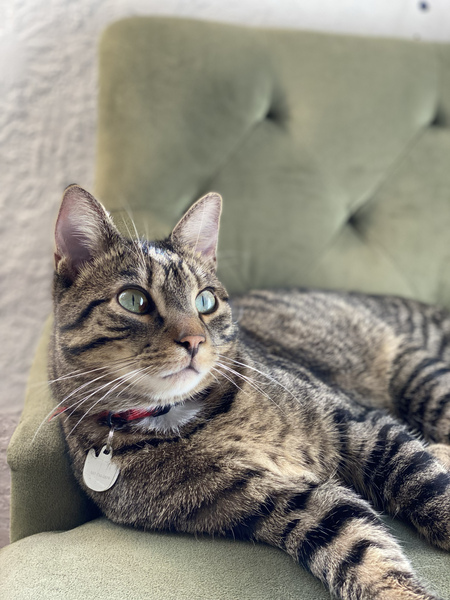 Mr. Benjamin