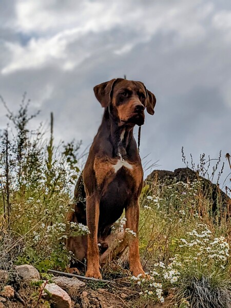 Walter 