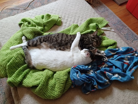 Henry & Lyra