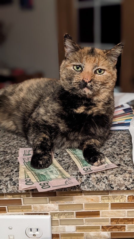 Lucy
