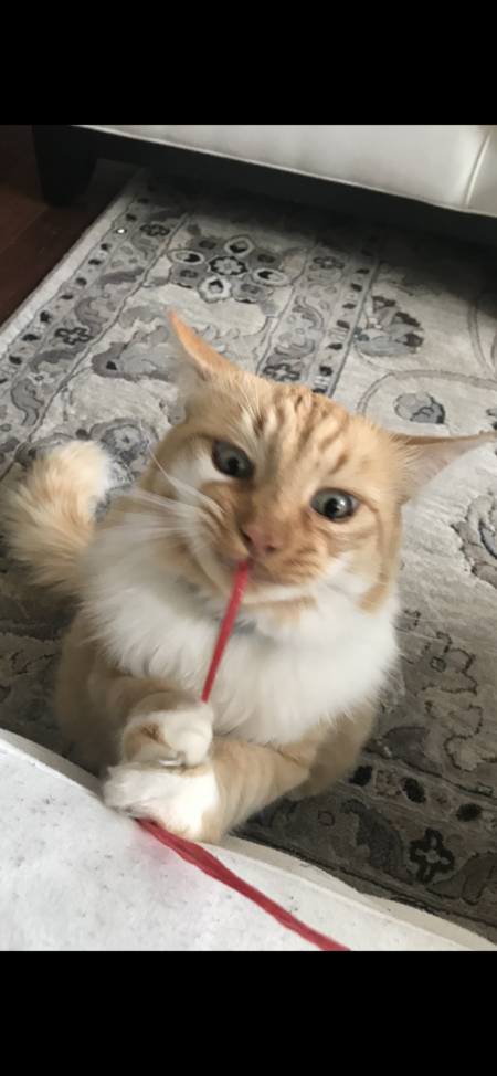 Dexter