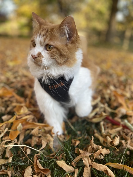 Frank