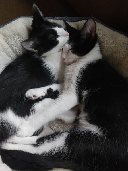 Wheezy & Possum