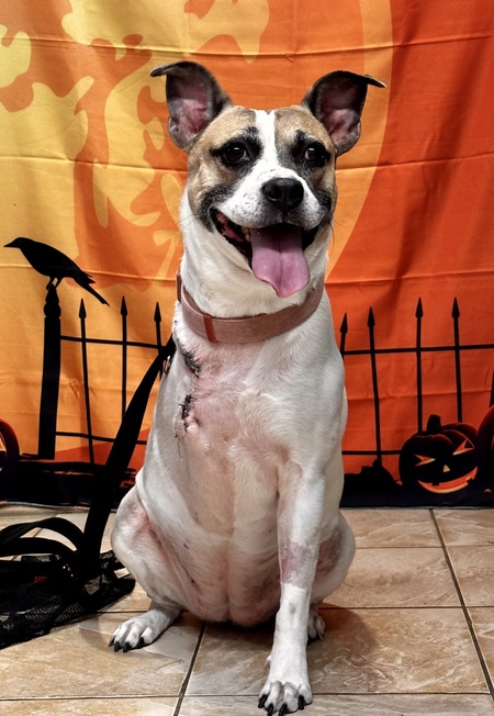 Lucy