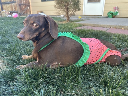 Maggie