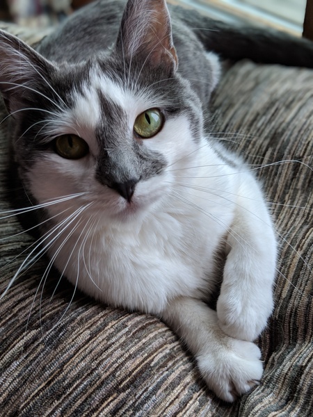 Sophie