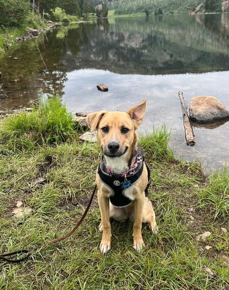 Maggie