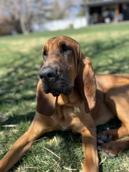 Gus