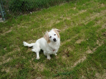 Molly