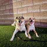 Entry image for Benny & Bessie