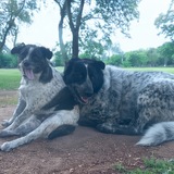 Entry image for Winnie and Remi