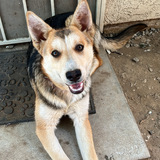 Entry image for Luna