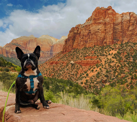 Lilo