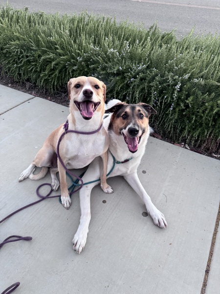 Benny & Bessie