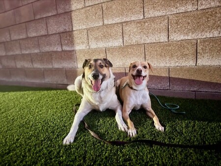 Entry image for Benny & Bessie. Clicking this image will show a larger photo