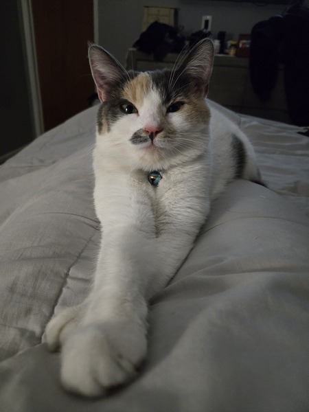 Chloe