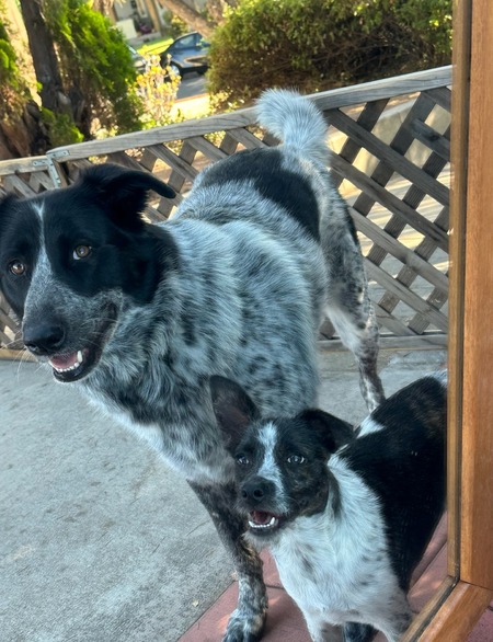 Winnie and Remi