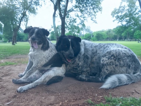 Entry image for Winnie and Remi. Clicking this image will show a larger photo