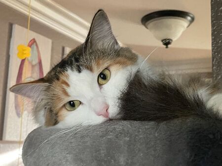 Zoe