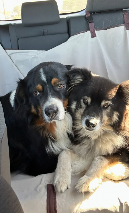 Smitty & Angus