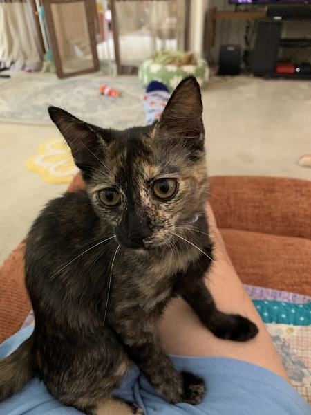 Entry image for Alice. Clicking this image will show a larger photo