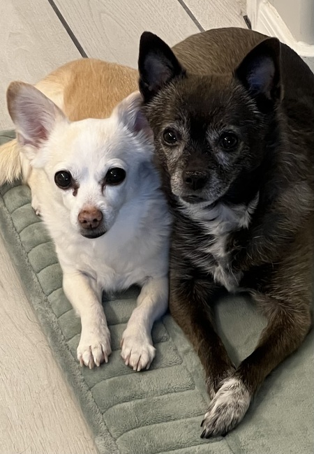 Molly and Maddy