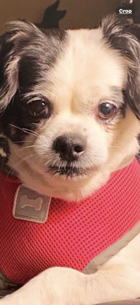 Coco 