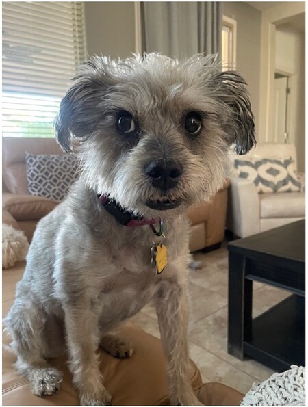 Sophie
