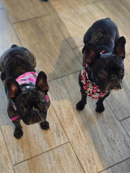 Hazel and Harley