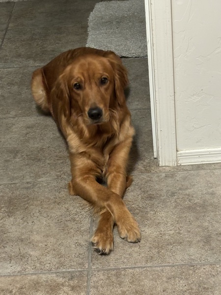 Penny