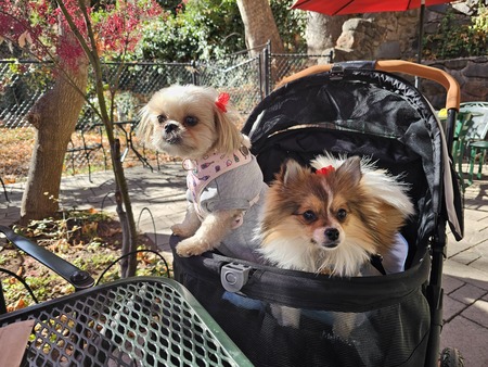 Bianca & Harper