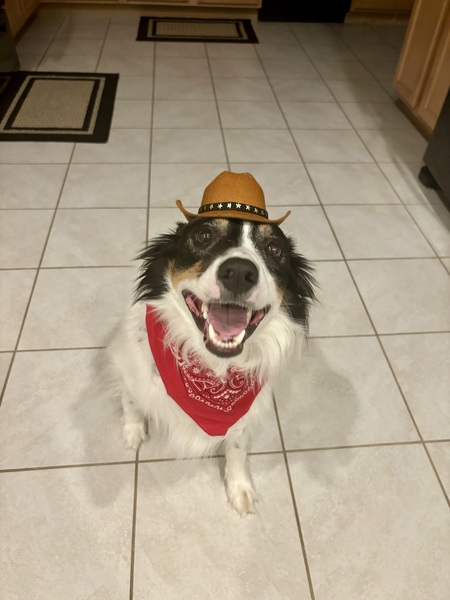 Moses aka Moe