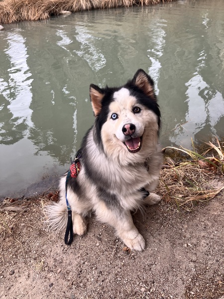 Yukon 
