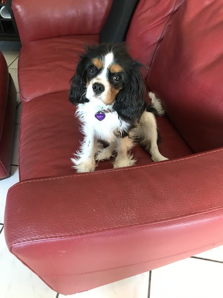 Lucy