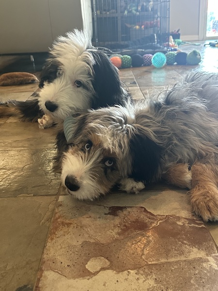 Gemma and Keiko