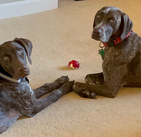 Benny & Yogi