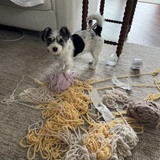Entry image for Minnie